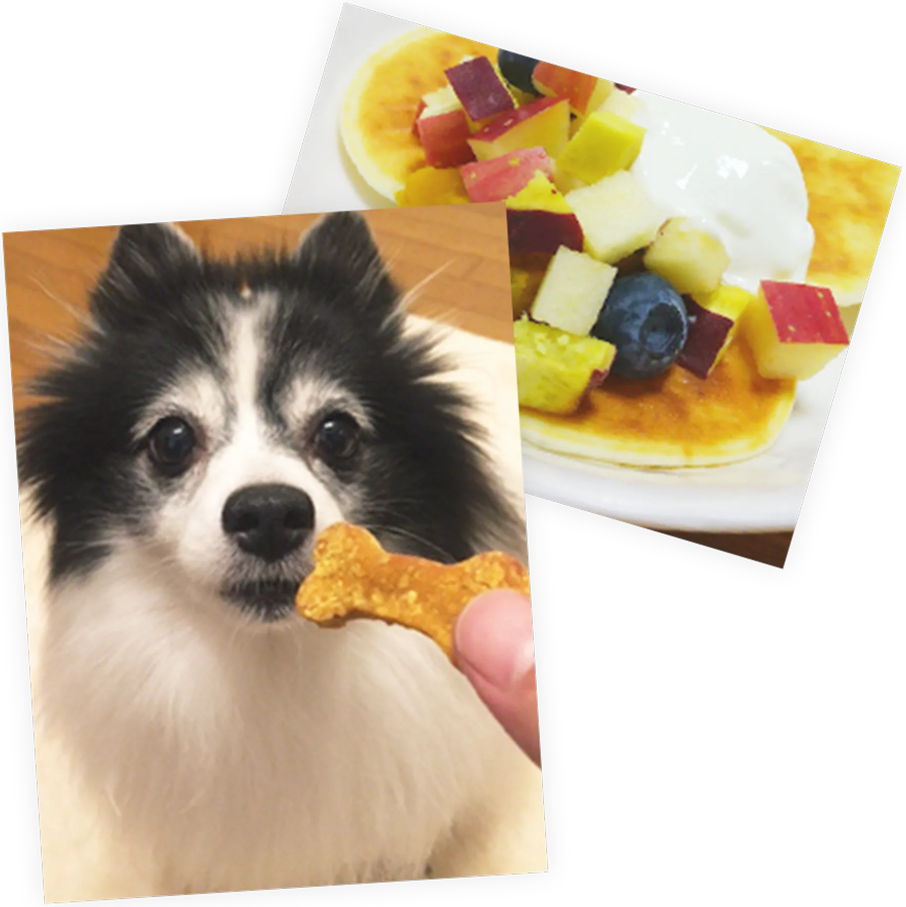 シェリーワンの犬用おやつ
